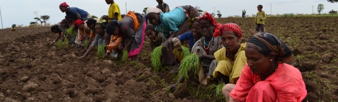 Africa Able to Feed Itself - A Bill and Melinda Gates 2030 Vision