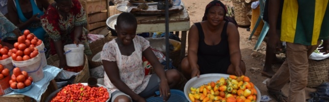 Ebola Epidemic and the Agricultural Crisis