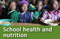 School health and nutrition